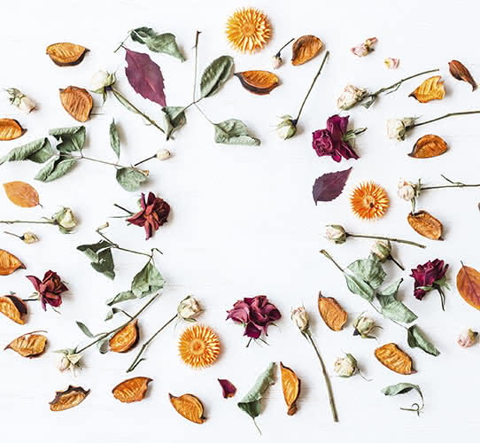 Conservar as suas flores naturais para sempre