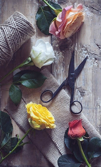 Conselhos Interflora - Frases amor dia dos namorados