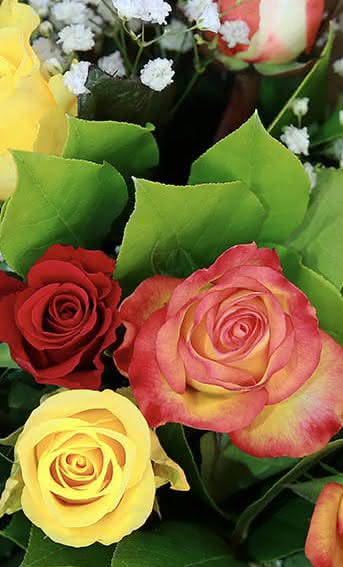 Conselhos Interflora - Frases amor dia dos namorados