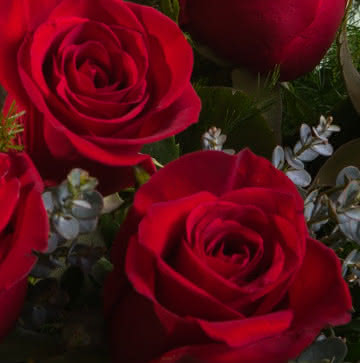 Enviar flores de condolências e pêsames