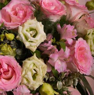 Enviar lisianthus em tons cor-de-rosa