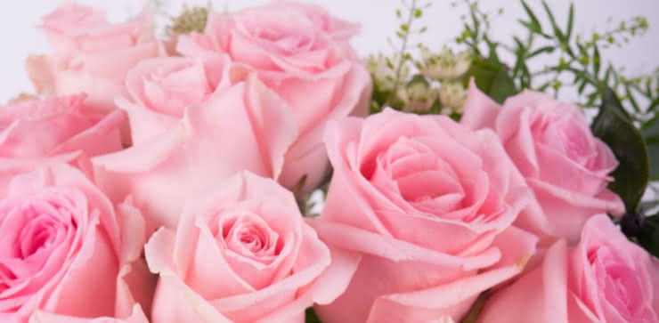 Enviar arranjo de rosas cor-de-rosa ao domicílio