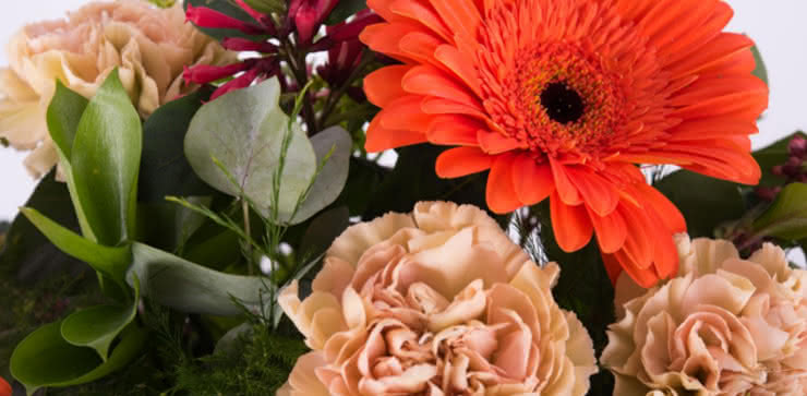 Enviar arranjo de rosas e gerberas ao domicílio