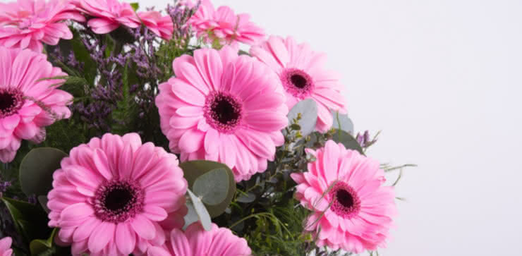 Enviar arranjo de gerberas em tons cor-de-rosa e roxo ao domicílio