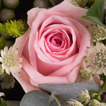 Arranjo rosas cor-de-rosa