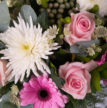 Enviar arranjo de rosas e gerberas cor-de-rosa