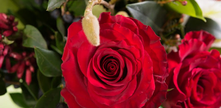 Enviar arranjo de rosas e liliums ao domicílio