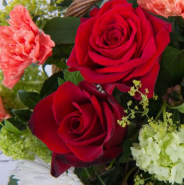 Cesta com rosas e cravos