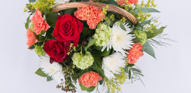Enviar cesta com rosas ao domicílio