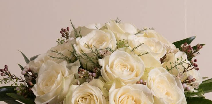 Enviar arranjo de rosas brancas ao domicílio