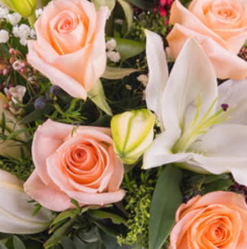Enviar liliums pastel