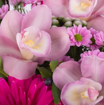Enviar rosas e gerberas