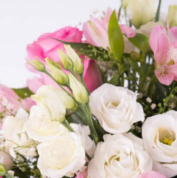Enviar flores variadas