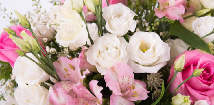 Enviar flores ao domicílio