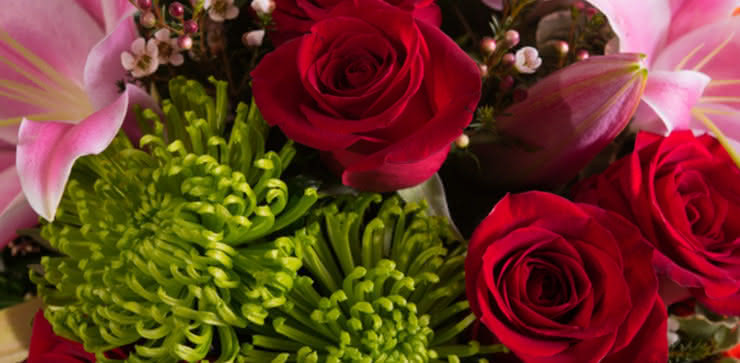 Enviar rosa, liliums e gerberas ao domicílio